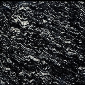 Black Marquino